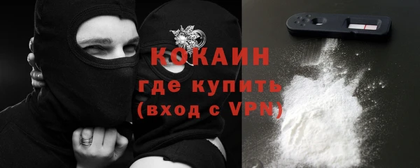 прущие грибы Магас