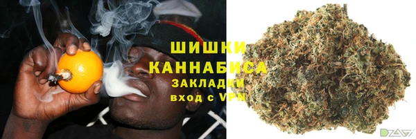 ECSTASY Лиски