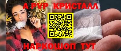ешки Кингисепп