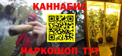 ешки Кингисепп