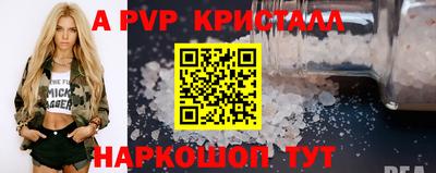 ешки Кингисепп