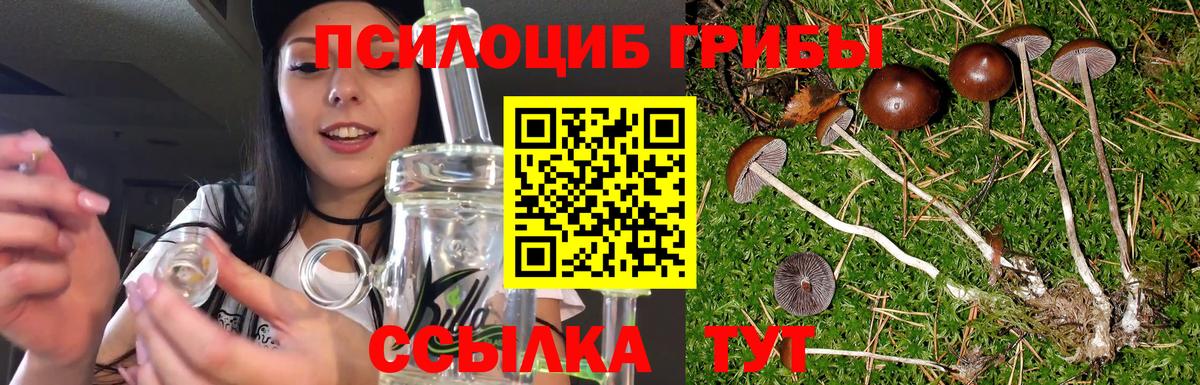 Псилоцибиновые грибы мухоморы  цены наркотик  Череповец 