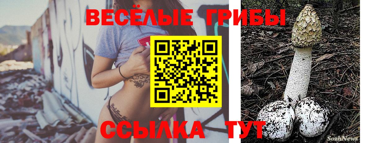 Галлюциногенные грибы ЛСД Череповец